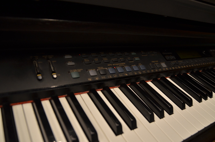 dsc-0134_700x700_fit_478b24840a