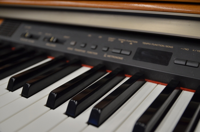 dsc-0173_700x700_fit_478b24840a