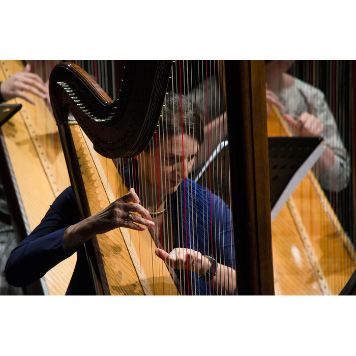 suzana-klincharova-2044-01_700x700_pad_478b24840a