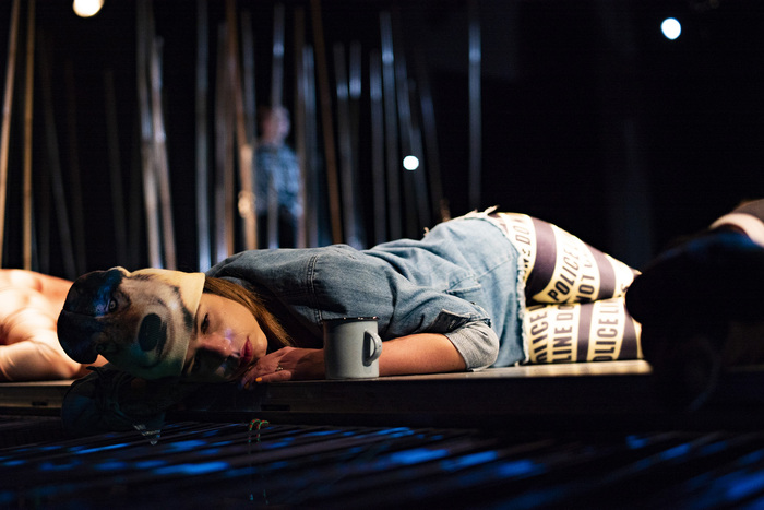 ezeroto_700x700_fit_478b24840a