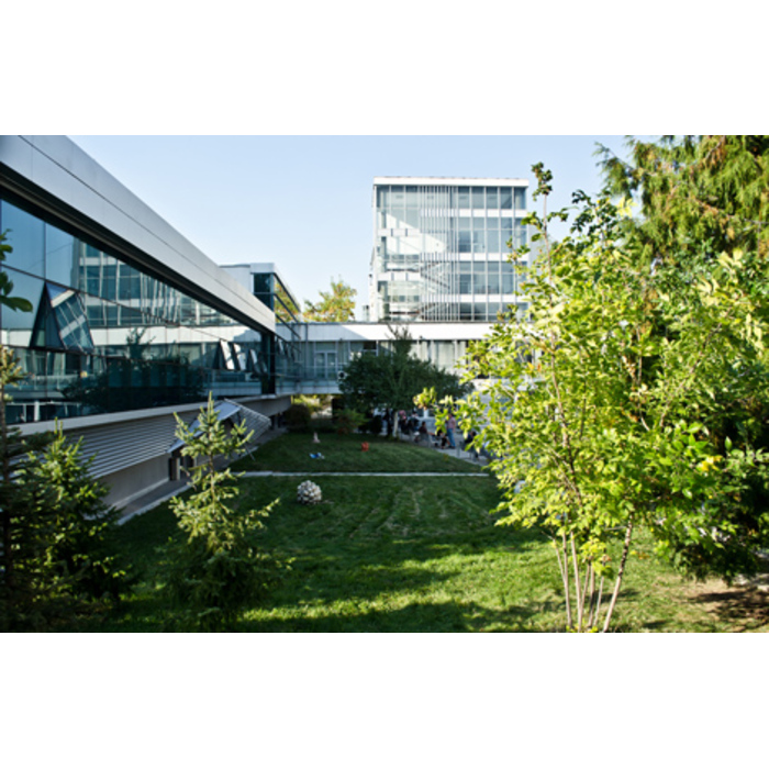 schools-1_700x700_pad_478b24840a