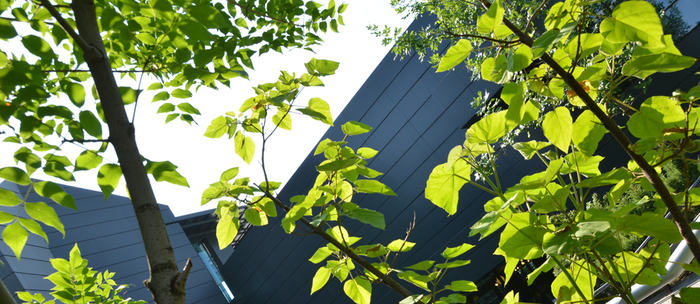 dsc-4636_700x700_fit_478b24840a