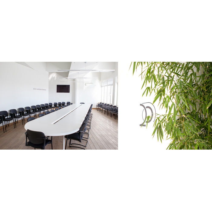 zala-20_700x700_pad_478b24840a